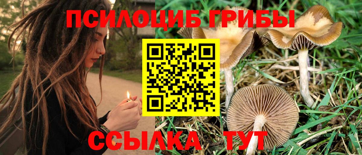 Галлюциногенные грибы мицелий  Псилоцибиновые грибы GOLDEN TEACHER  Вход с VPN  Россошь 